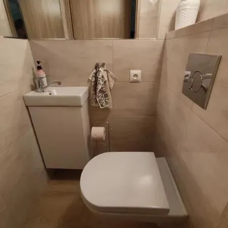 Homestay Sjesta Psary (Lubliniec)